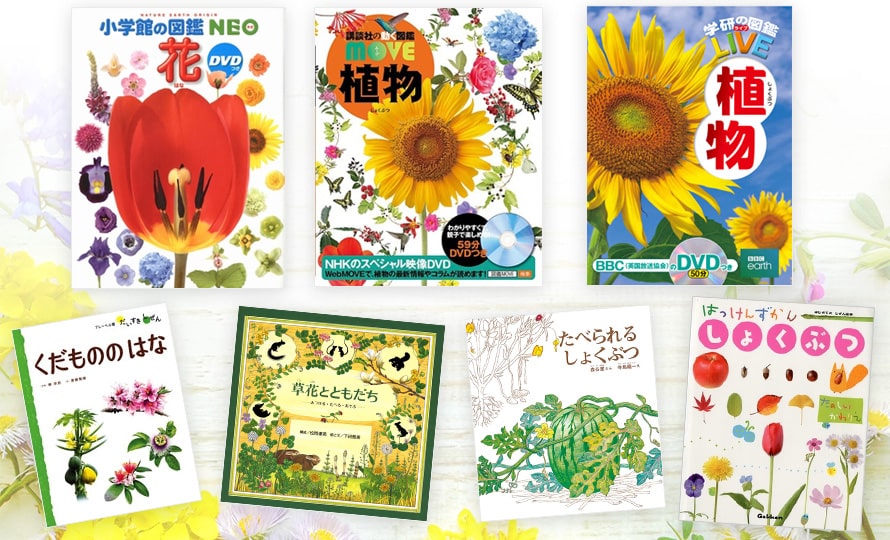 植物と花の図鑑】幼児から小学生、大人まで楽しめる＆学べるおすすめ30